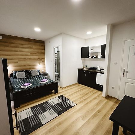 S. A. L. 2 Apartman Nagybecskerek Kültér fotó